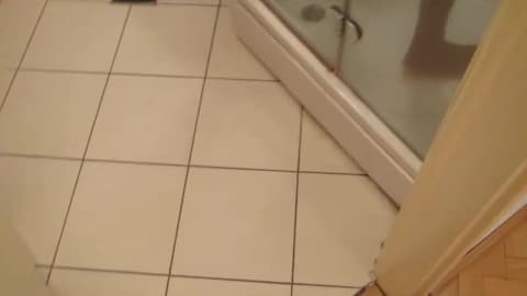 Jeune Mulâtre se Masturbe avec un Gode sous la Douche