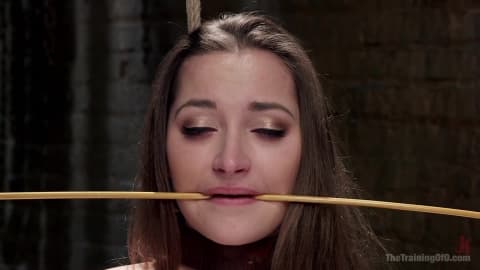 Dani Daniels se fait dominer sans pitié dans un BDSM extreme